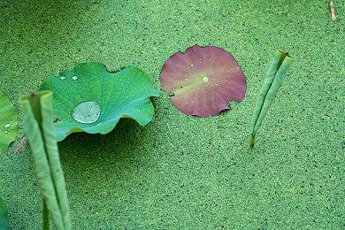《宇宙机器人》免费DLC今年推出 加入速通、VIP机器人